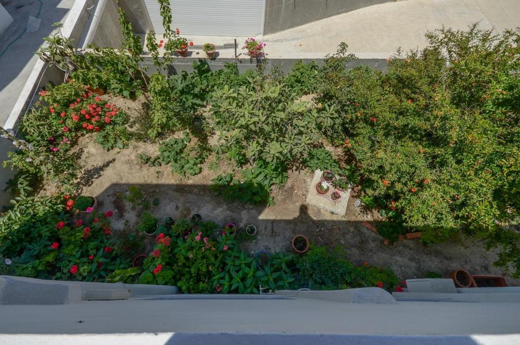 Margaritis Apartments Agia Anna  Zimmer foto